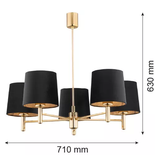 PONTE PLUS 2107