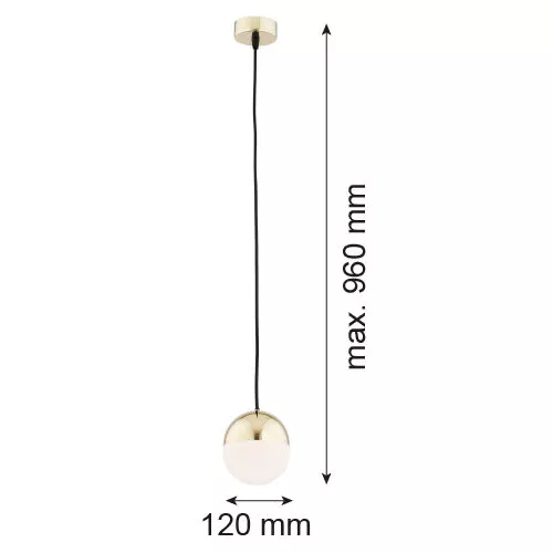 ARGON 4031 LIVIA ZWIS