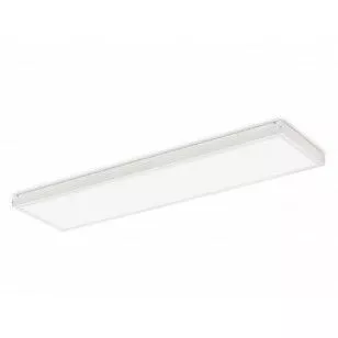 PANEL LED 120X30 50W 4000K 4500LM IP20 NW N/T BIALY EC20043