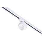 Lampa reflektorowa szynowa LED 12W Skye 3-fazowa Biała AZ4519 Azzardo