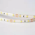 TAŚMA LED 300 4.8W/M 4000K 300LM/M 12V IP63 /5M/